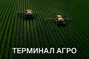 Маргарита