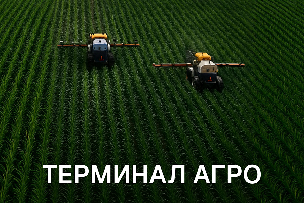 ТЕРМИНАЛ АГРО // РАЗРАБОТКА АЙДЕНТИКИ ДЛЯ АГРАРНОГО БРЕНДА