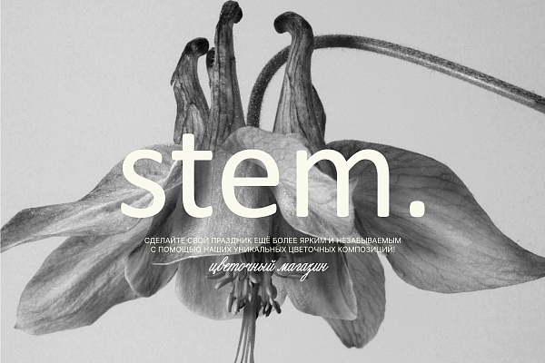 stem